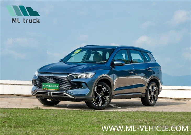 BYD SONG Pro Champion Edition DMI