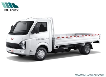 SAIC-GM-Wuling Tniedi Longka Pickup Truck