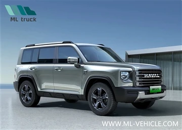 Stampi Uffiċjali Haval B26 Meħlus, Possibbilment jismu Xianglong