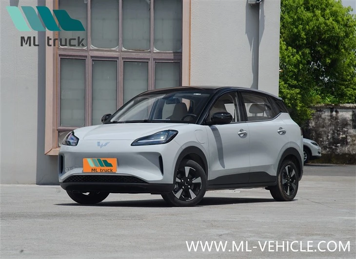 2024   WuLing   Bingo   Plus   EV   SUV